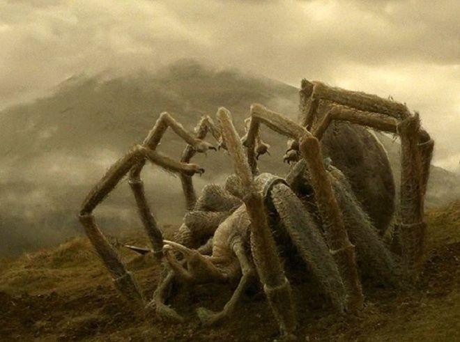 Encuentran una araña parecida a Aragog, de 