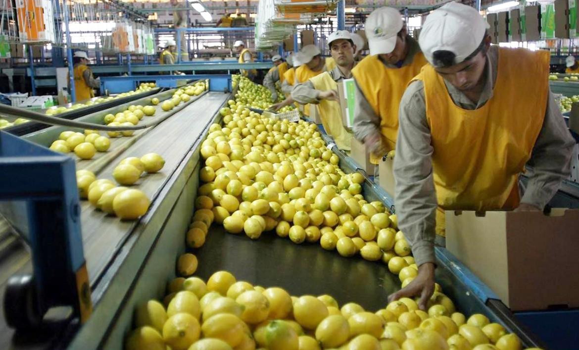 Limones de Argentina