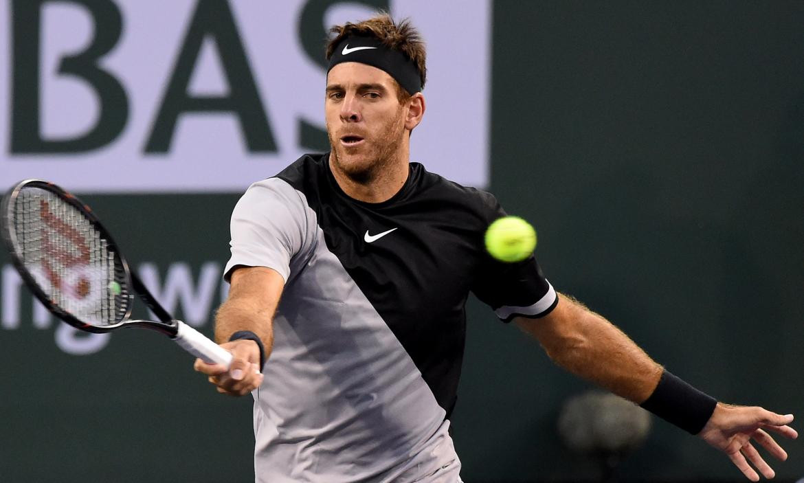 Juan Martín Del Potro (Reuters)