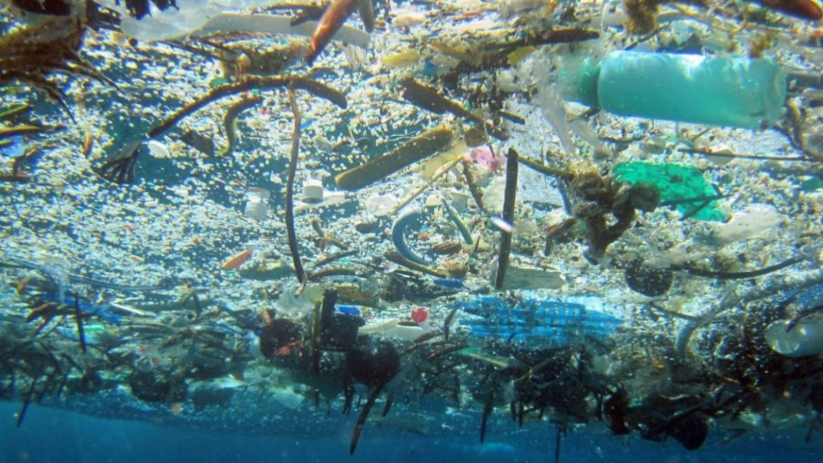 Diseñan una enzima que destruye el plástico y podría reducir la contaminación