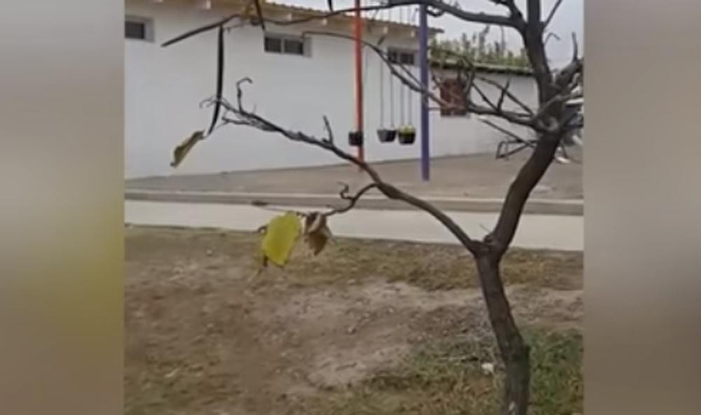 Niño fantasma en hamaca de Maipú - Video viral