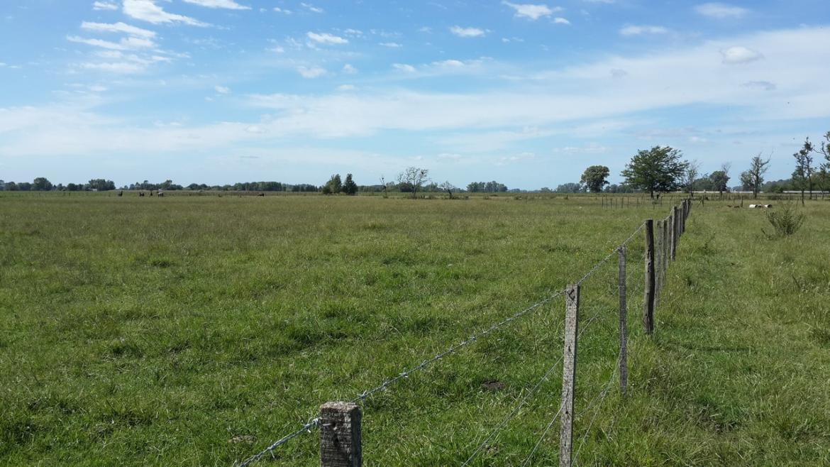 Campo - Tranquera - Agrarios