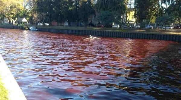 Tigre - río rojo