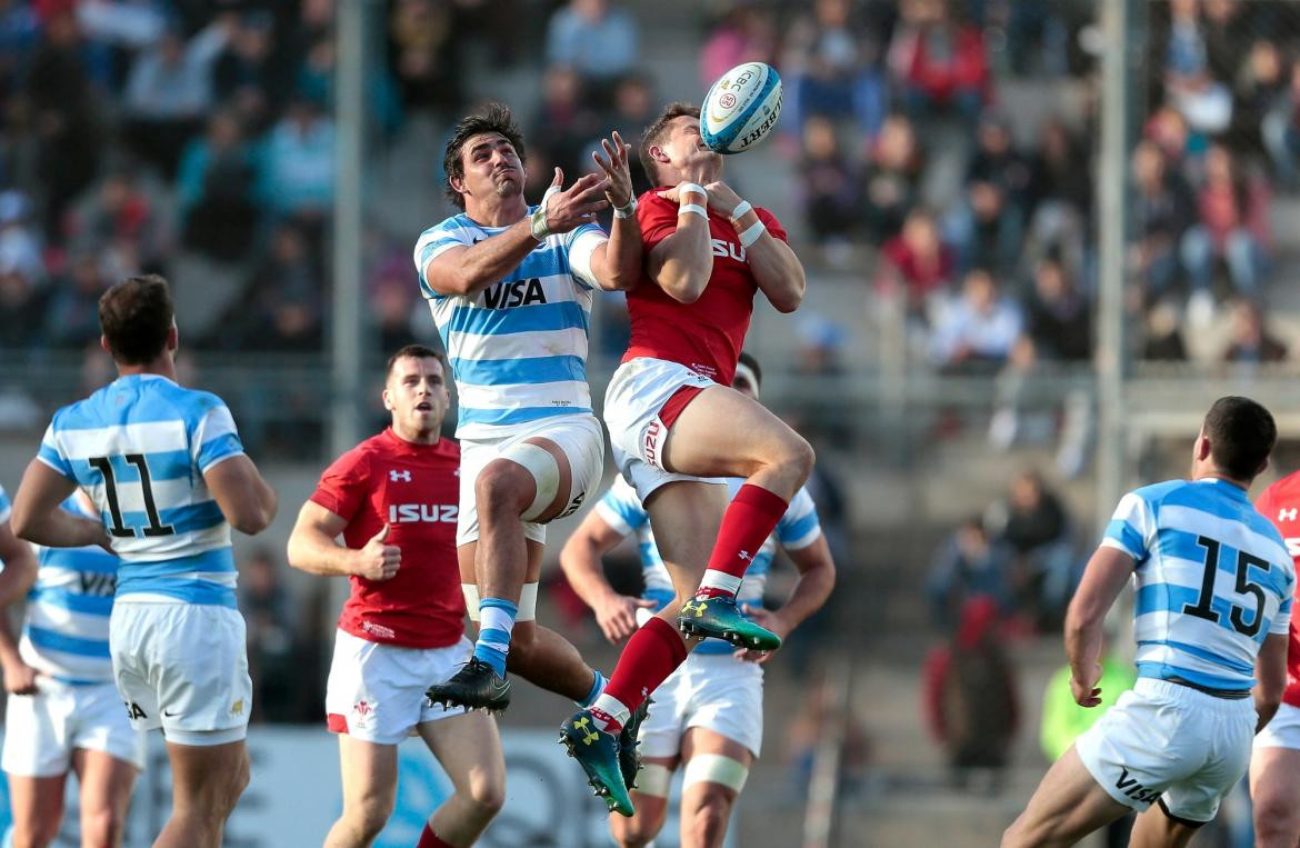 Los Pumas - Gales