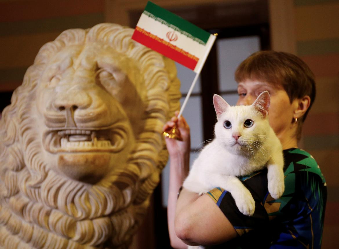 Gato Aquiles, pronosticador Mundial Rusia, Reuters