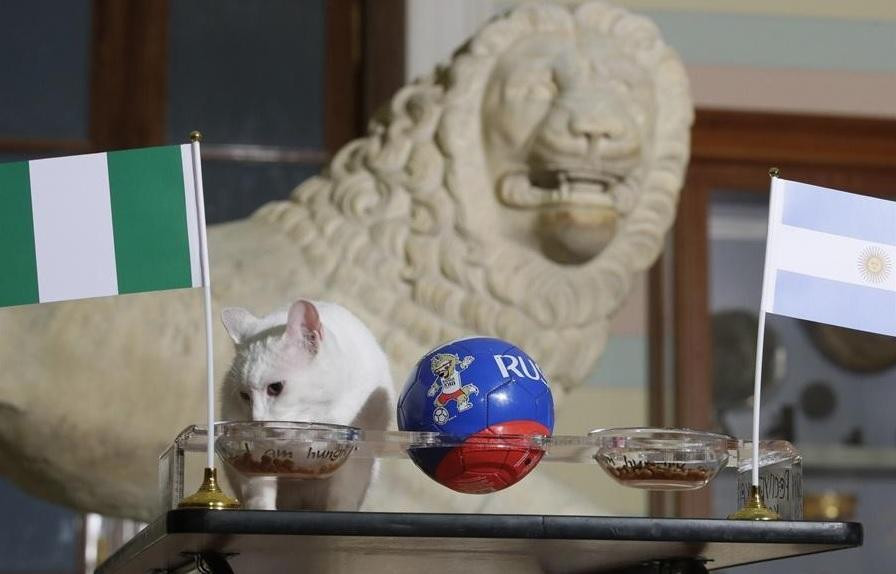 Pronóstico del gato Aquiles para Argentina - Nigeria