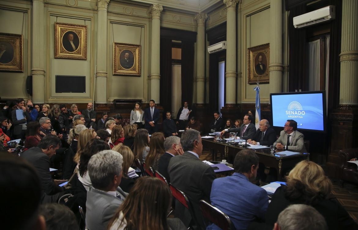 Debate en el Senado por legalización del Aborto - NA -