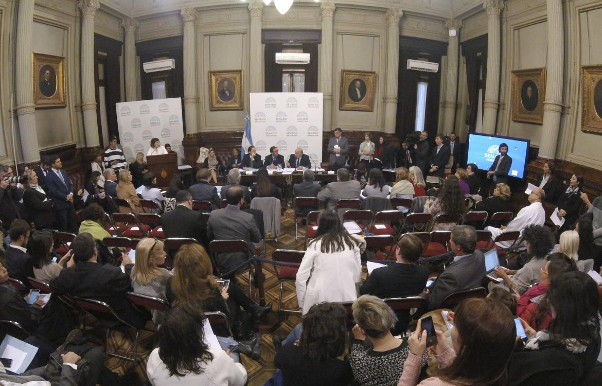 Debate por el aborto en el Senado - NA