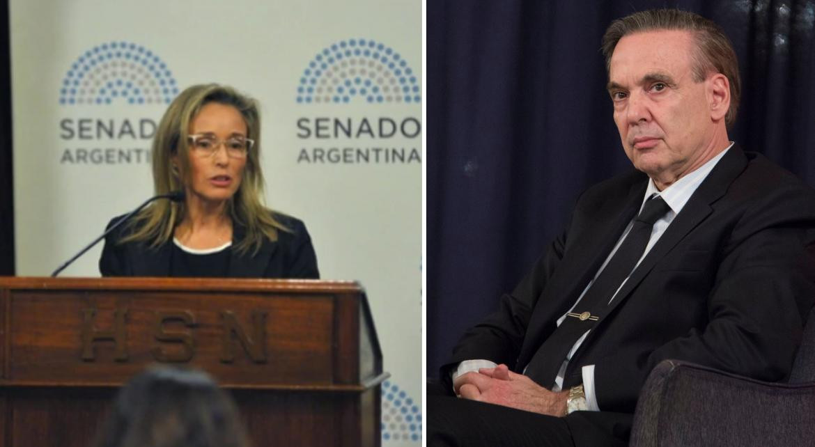 Debate sobre el aborto - cruce entre Pichetto y Carmona