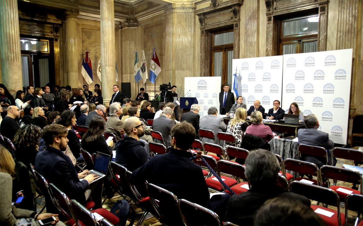 Debate por legalización del aborto - Audiencias - Senado (NA)