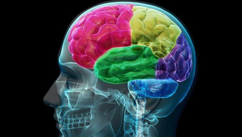 Enfermedad neurológica, cerebro, Parkinson, accidente cerebrovascular (ACV), demencia