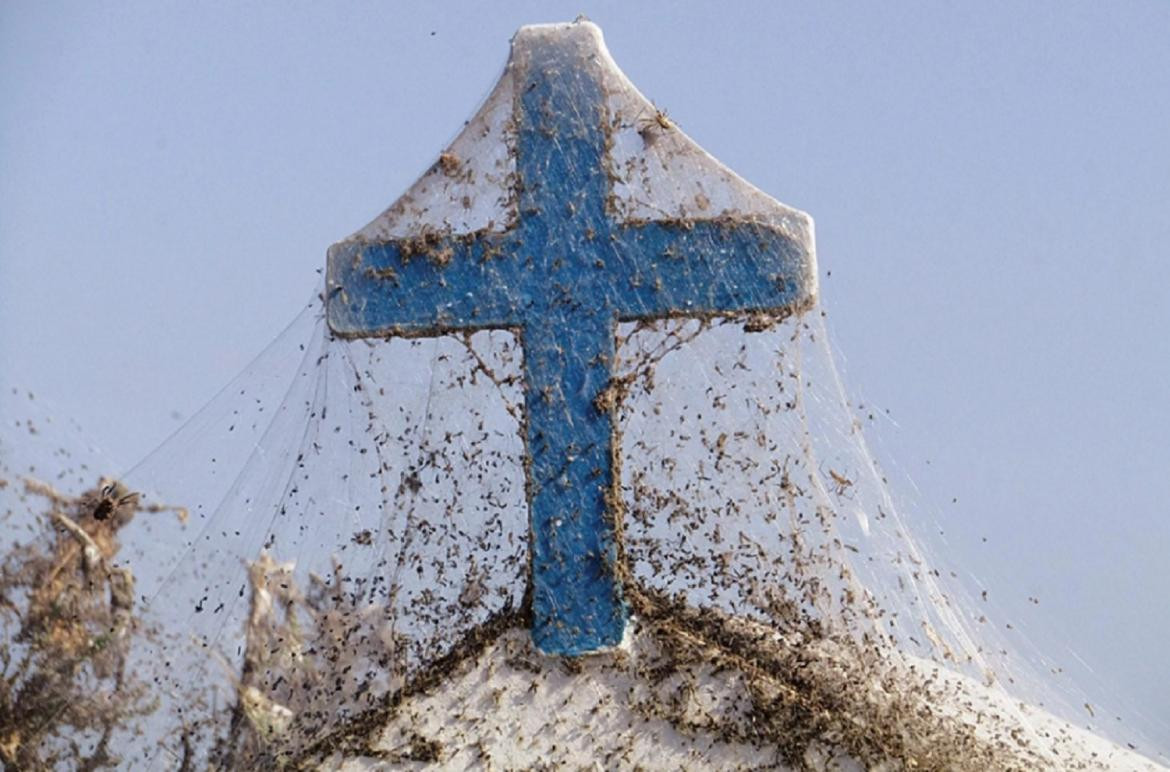 Telaraña gigante cubre una playa de Grecia