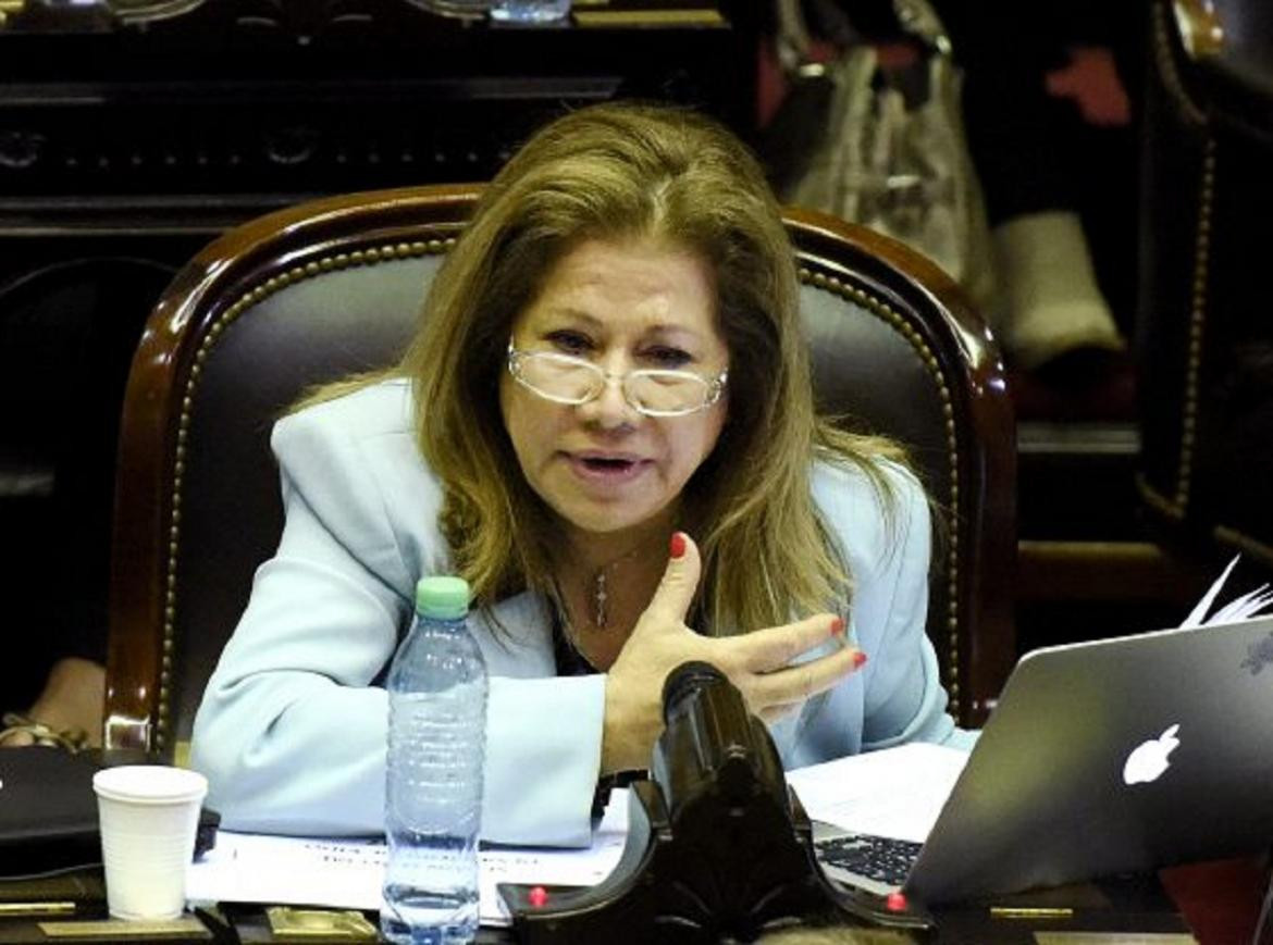 Graciela Camaño, Frente Renovador, Diputados, Política