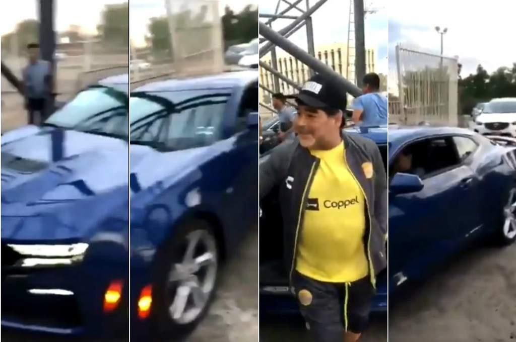 maradona