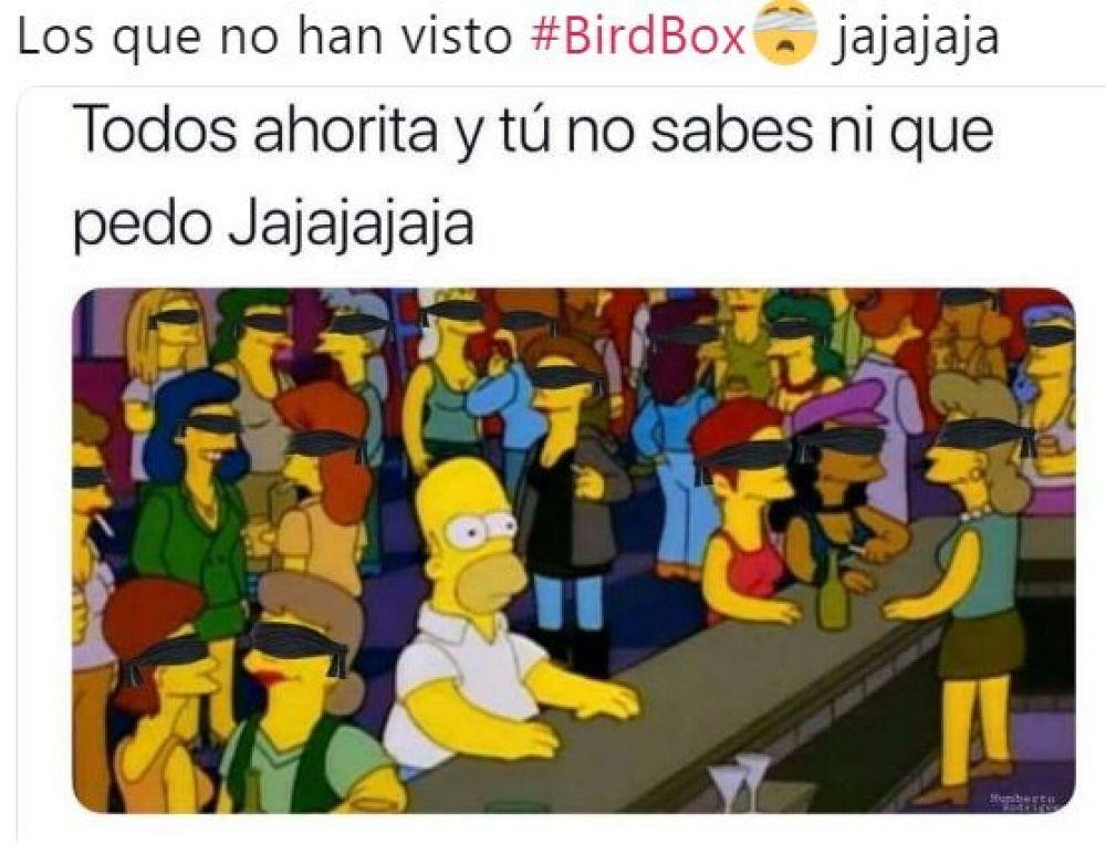 Memes Bird Box - Netflix