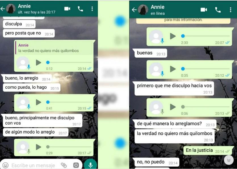 Mensajes de joven que denunció falsamente a Agustín Muñoz por abuso