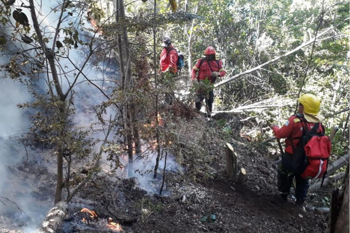 Incendio Epuyén - Chubut