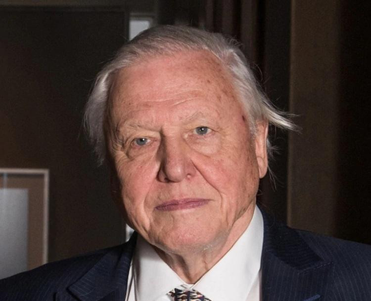 David Attenborough comunicador e historiador de la naturaleza