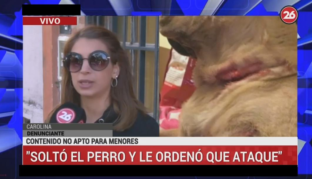 Ataque de pitbull en Saavedra - Habla denunciante Canal 26 