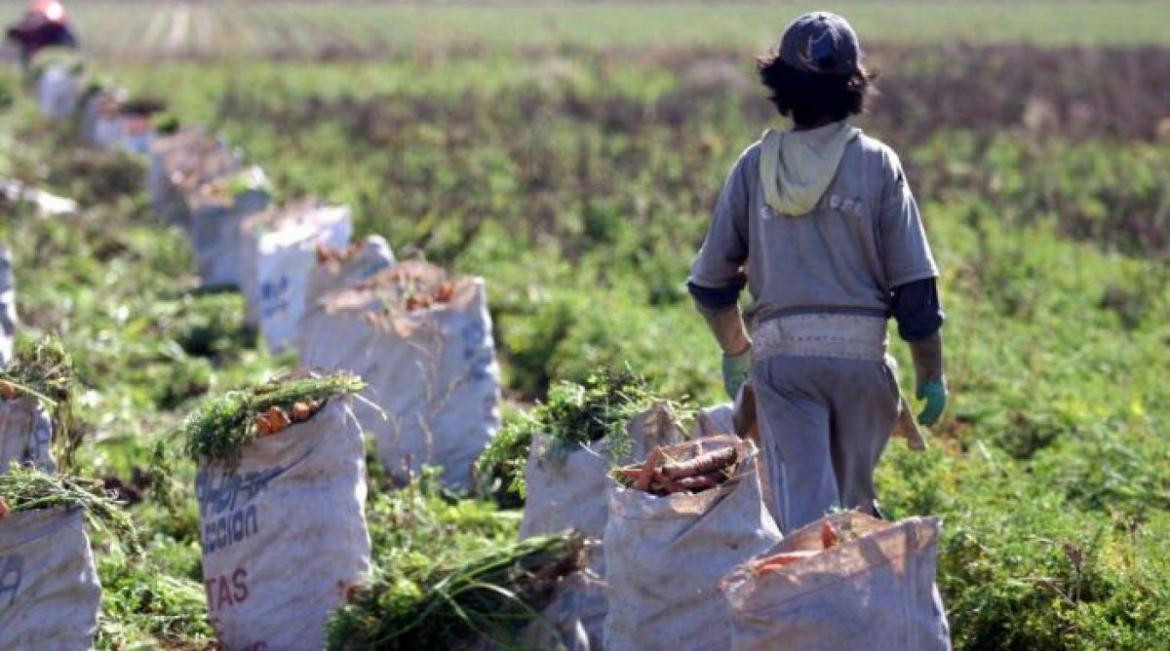 Efemérides - Día Mundial contra trabajo infatil