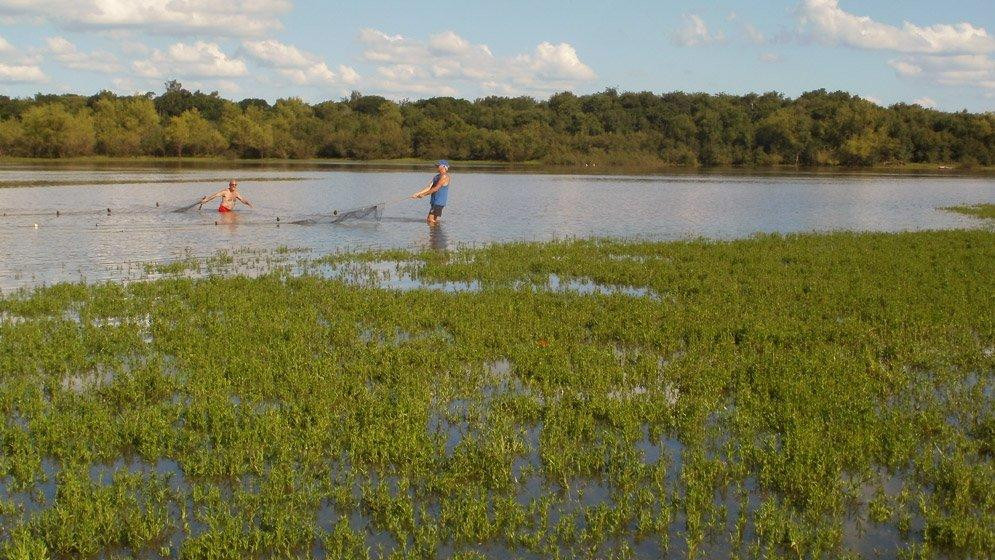 Río Uruguay - estudio Conicet