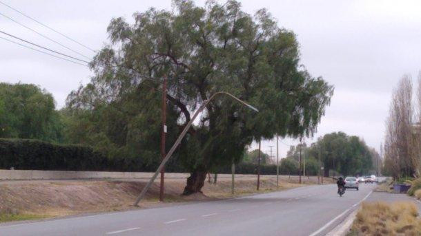 Viento zonda, destrozos en Mendoza, fotos