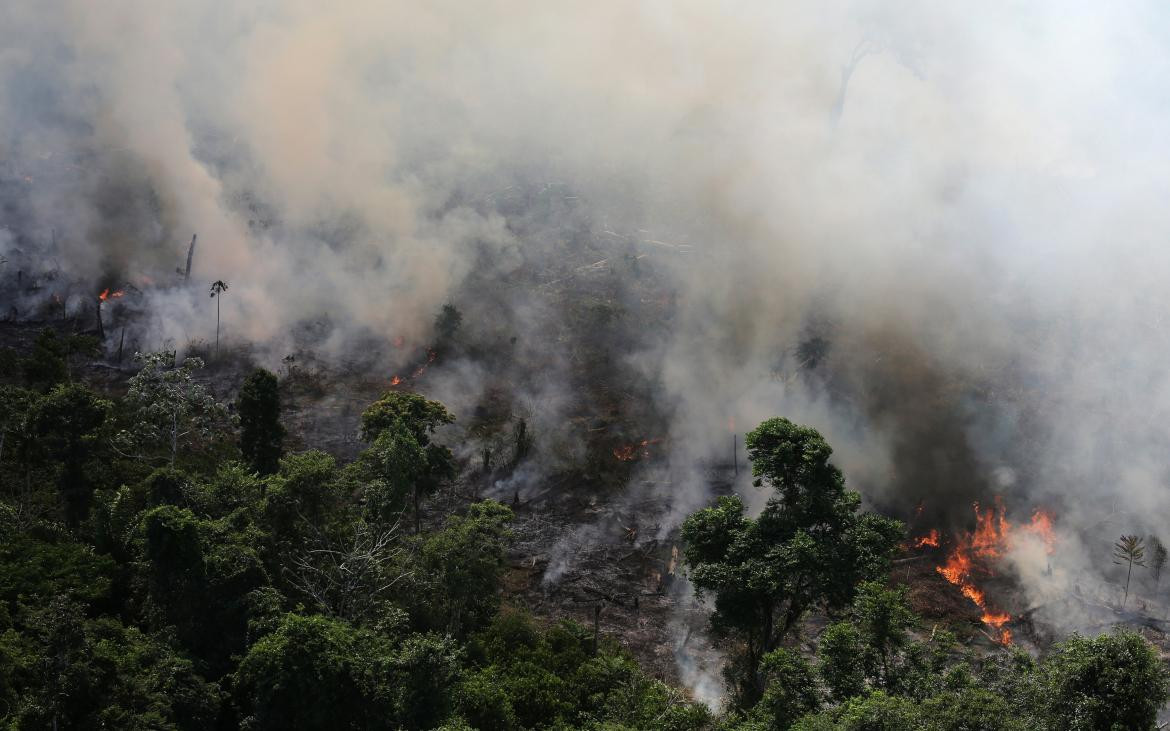 Incendio en la Amazonia, REUTERS