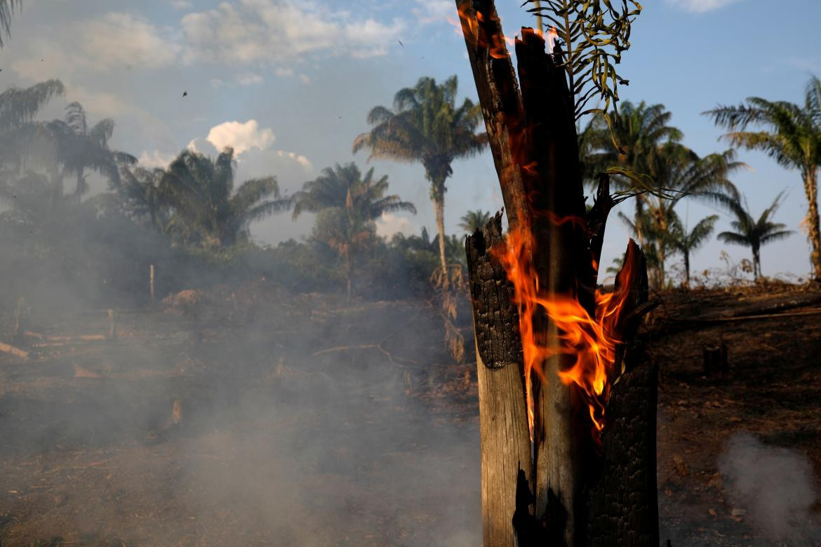 Incendio Amazonia, REUTERS