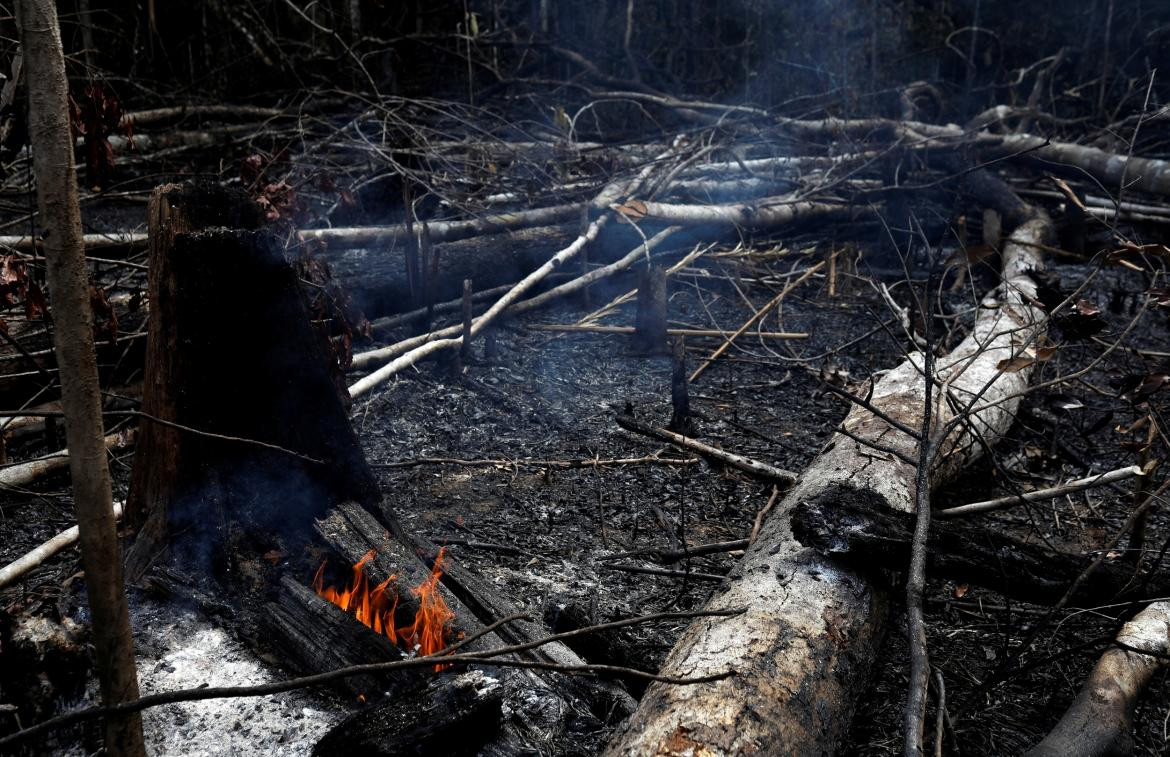 Incendio Amazonia, REUTERS