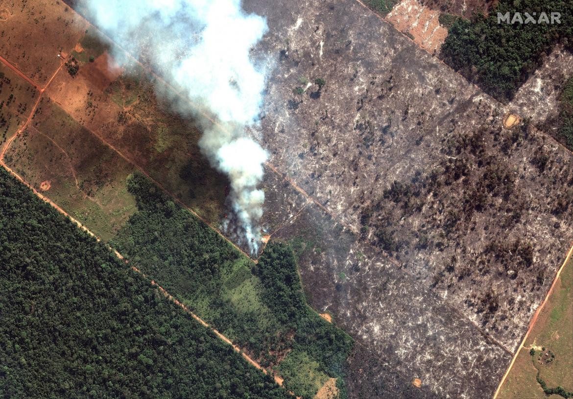 Incendio Amazonia, REUTERS