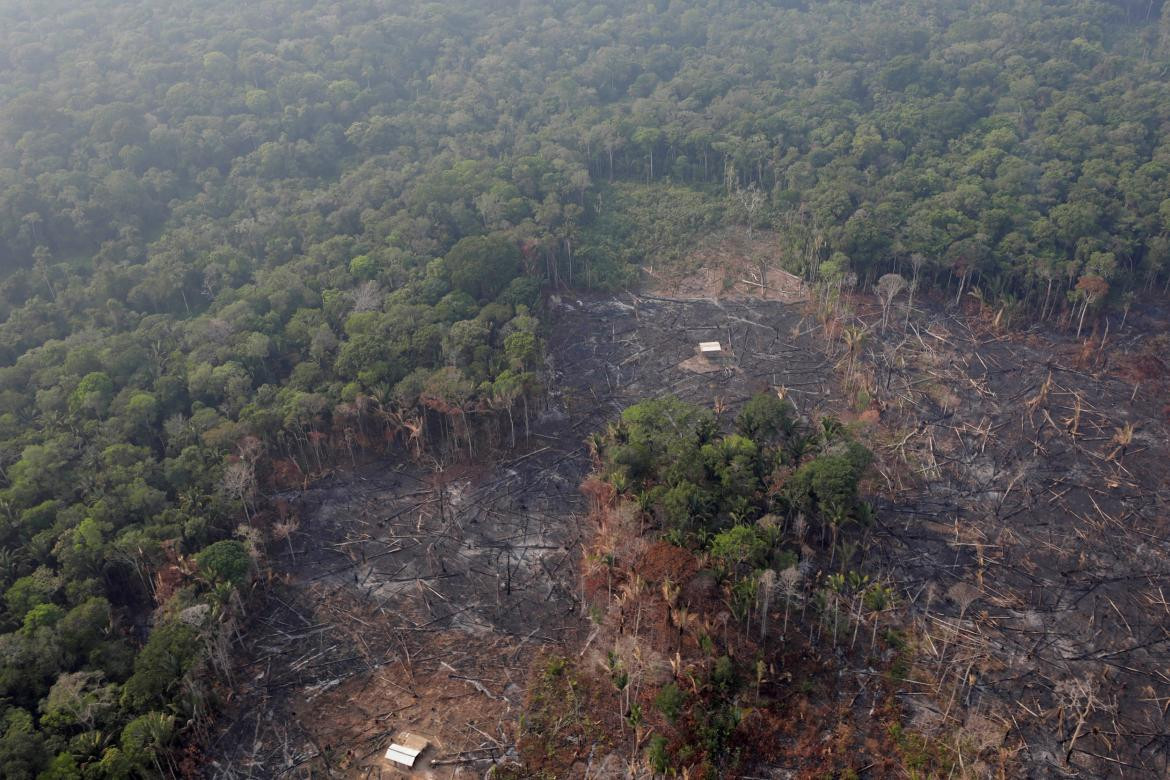 Incendio Amazonia, REUTERS