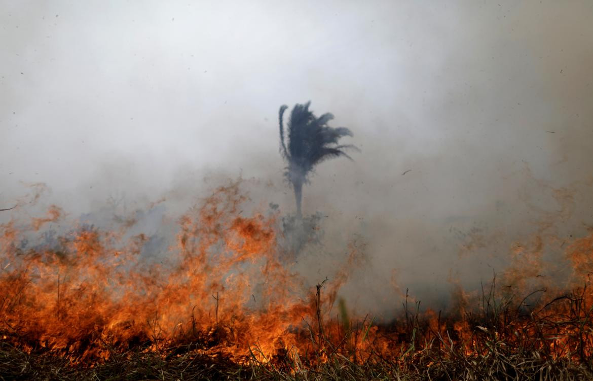 Incendio Amazonia, Brasil, REUTERS