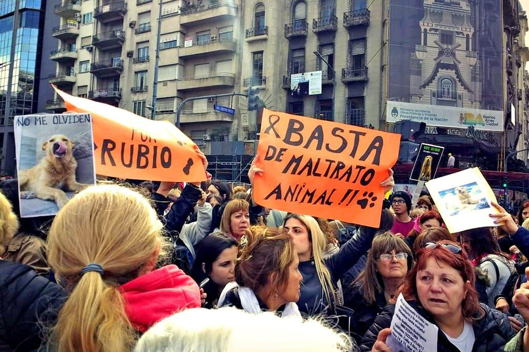 Marcha por perro Rubio, muerto tras maltrato en Mar del Tuyú