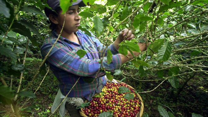 Día internacional del café, efemérides