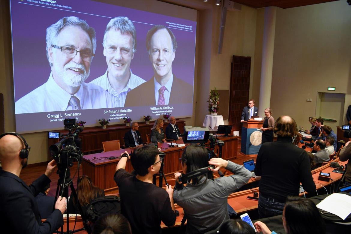 Premio Nobel, medicina, William Kaelin, Gregg Semenza y Sir Peter Ratcliffe