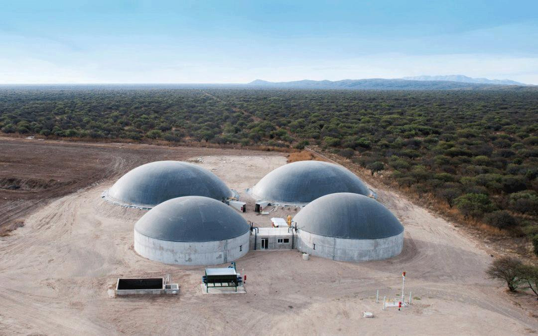 Biogás, industria argentina