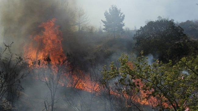 Incendios forestales en Chile