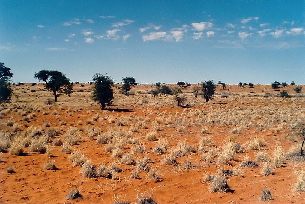 Desierto de Kalahari, África del Sur