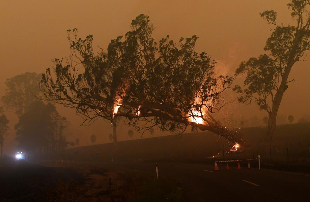 Incendios en Australia, REUTERS