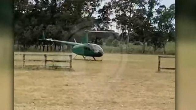 Nuevo video sobre cordero en José Ignacio