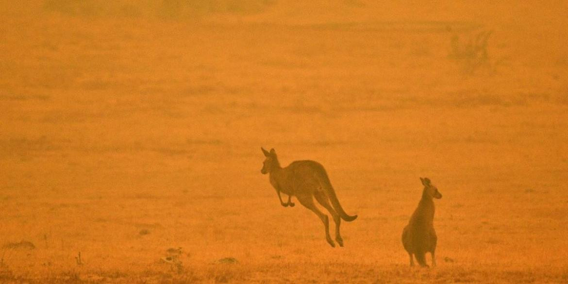 Incendios en Australia