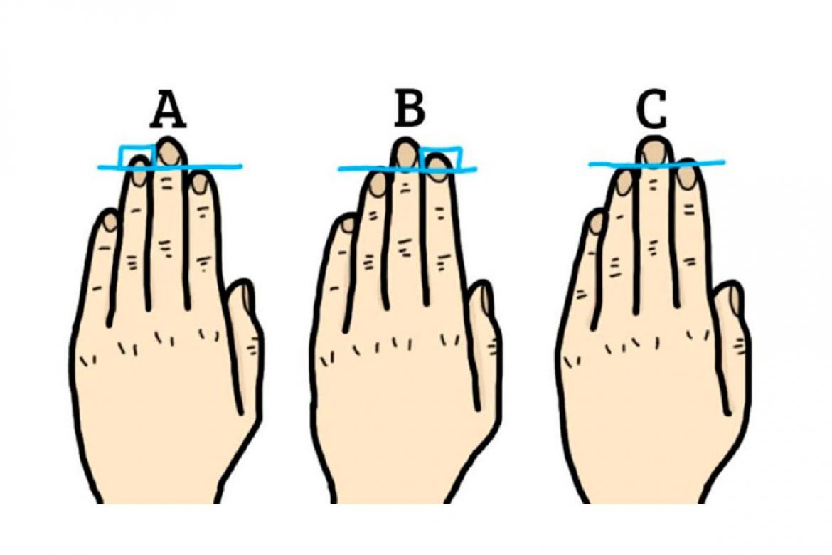 Largo de los dedos y personalidad