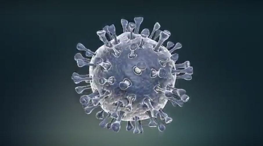 Coronavirus, captura Reuters