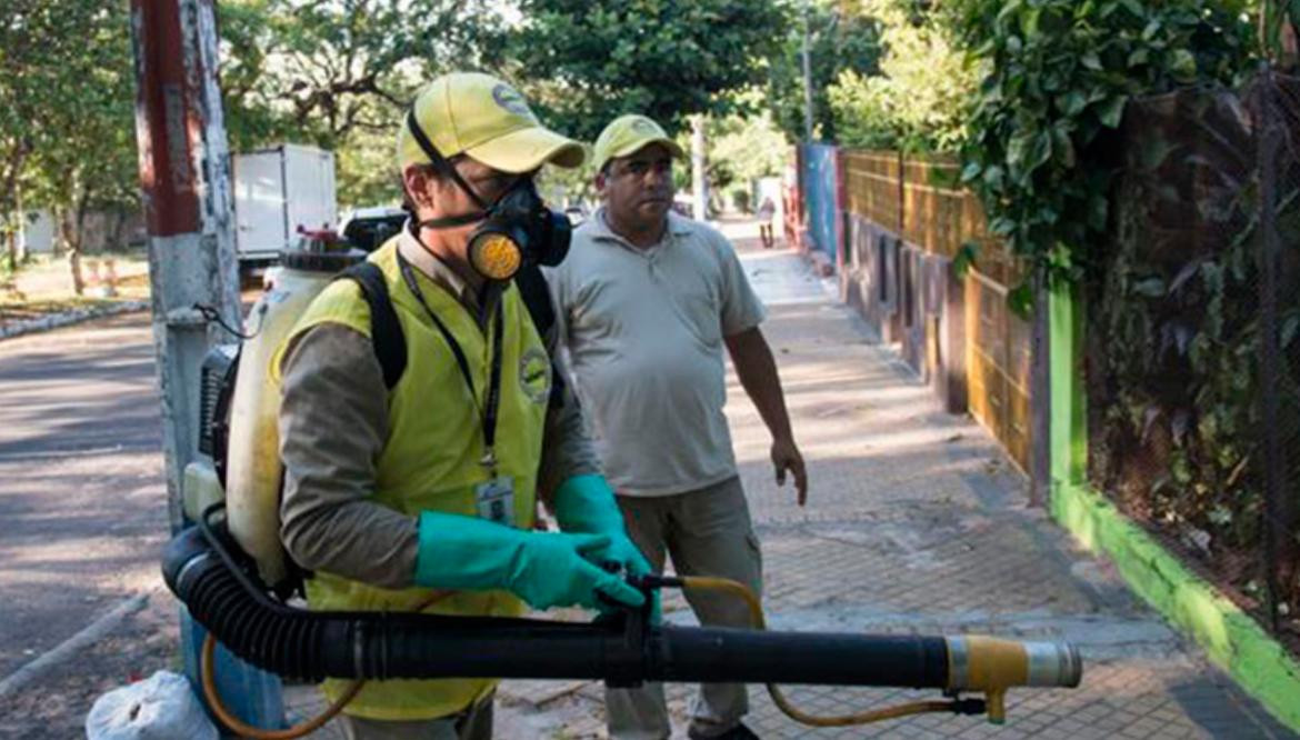 Dengue, fumigación en Paraná, TWITTER