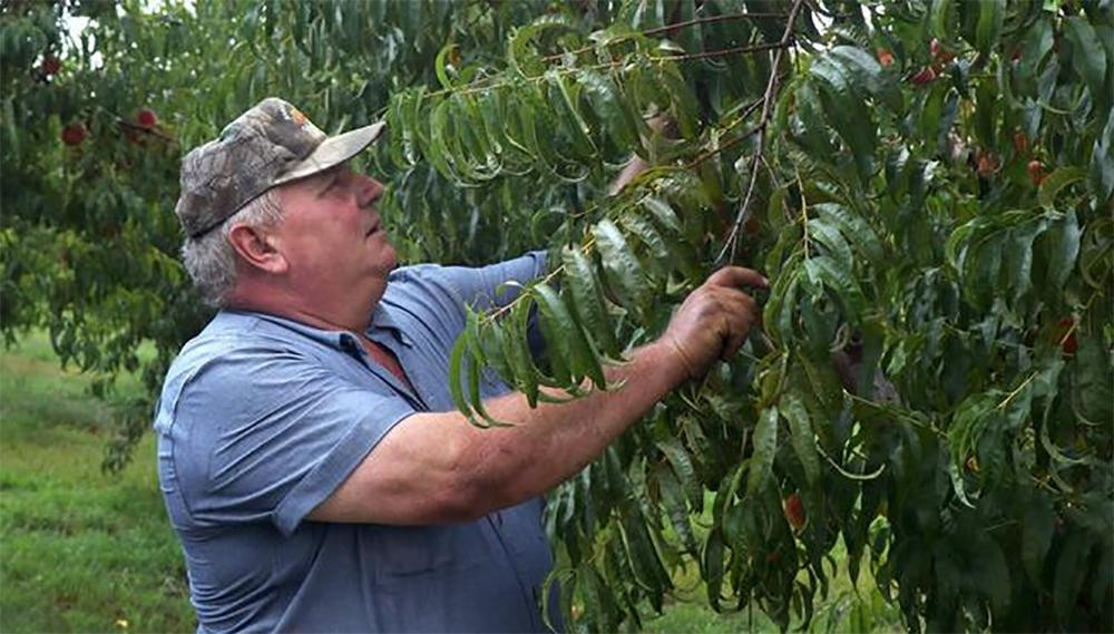 Agricultor en Estados Unidos, pesticidas