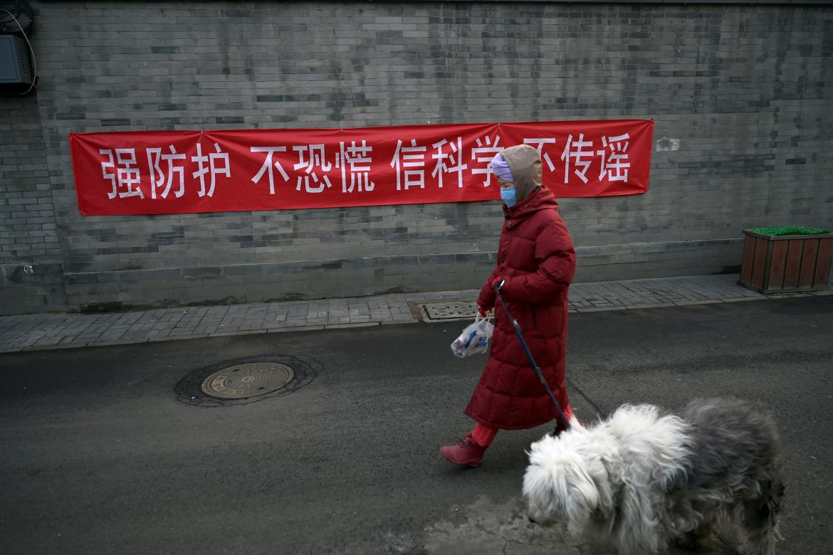 Coronavirus, perros, contagio, REUTERS