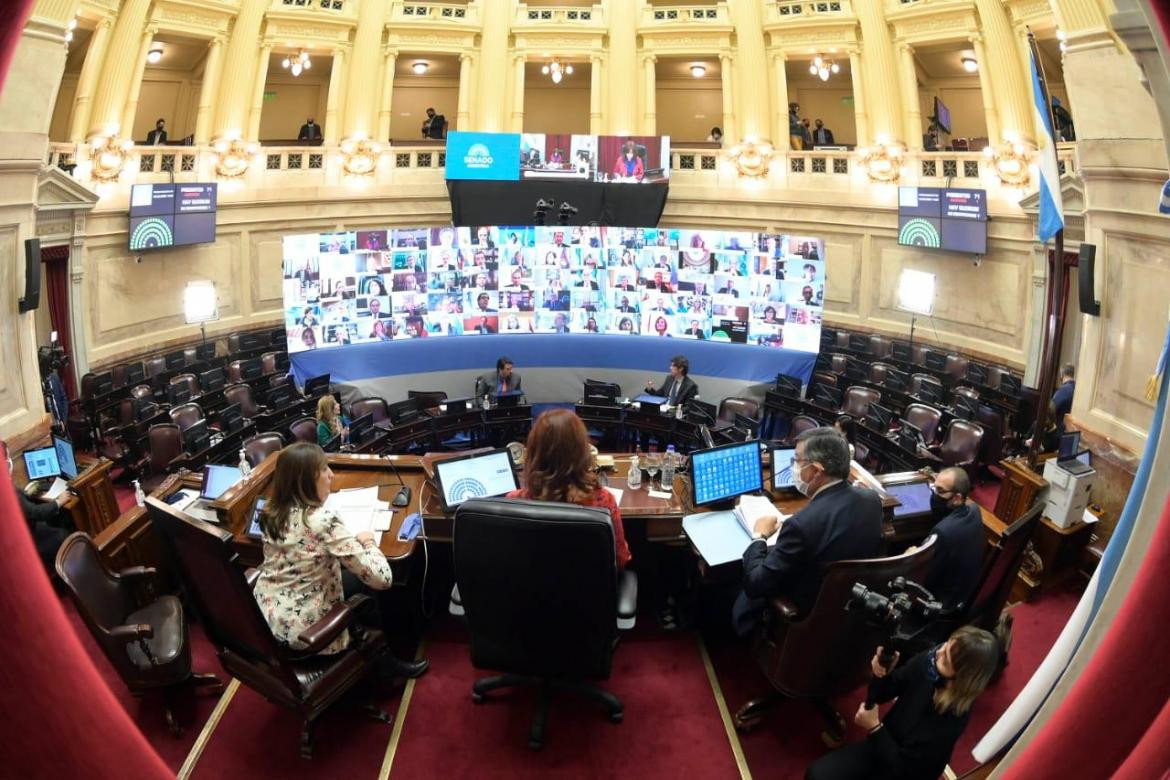 Senado, primera sesión virtual, Cristina Fernández de Kirchner, Foto Presidencia