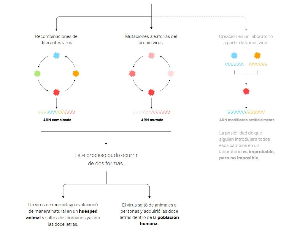 Coronavirus, las doce letras que cambiaron el mundo con el coronavirus: ccu cgg cgg gca	