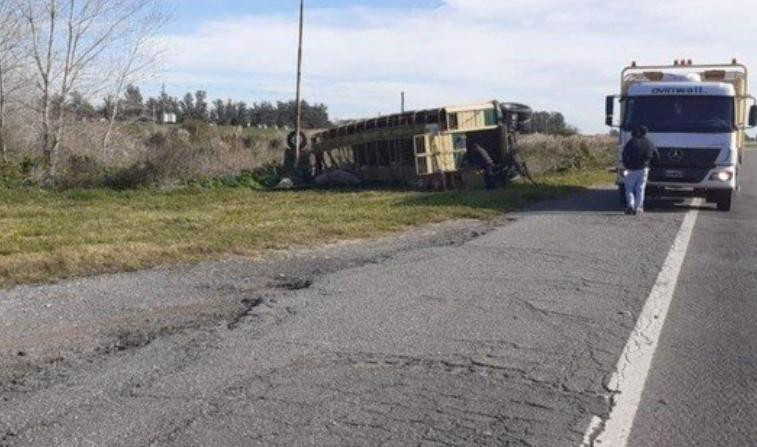 Ruta 2, vuelco de camión jaula