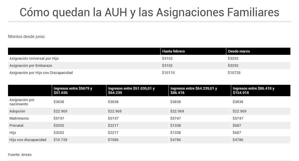 Asignación Universal por Hijo, Anses, junio 2020